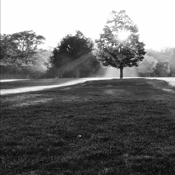 Meet your Posher, Sarah - Picture 3 of 7